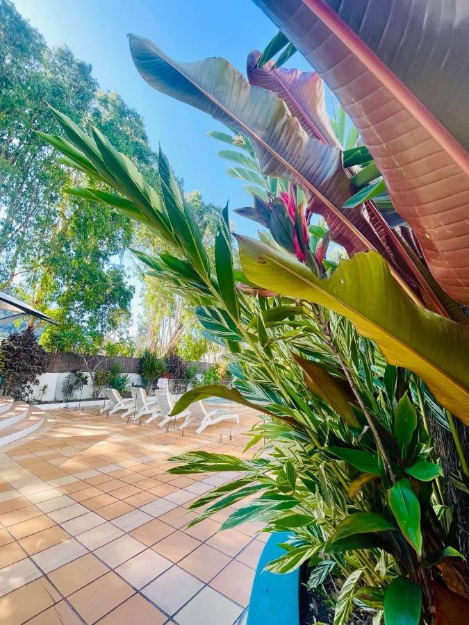 Beachview Apartments At Villa Paradiso Palm Cove Zewnętrze zdjęcie