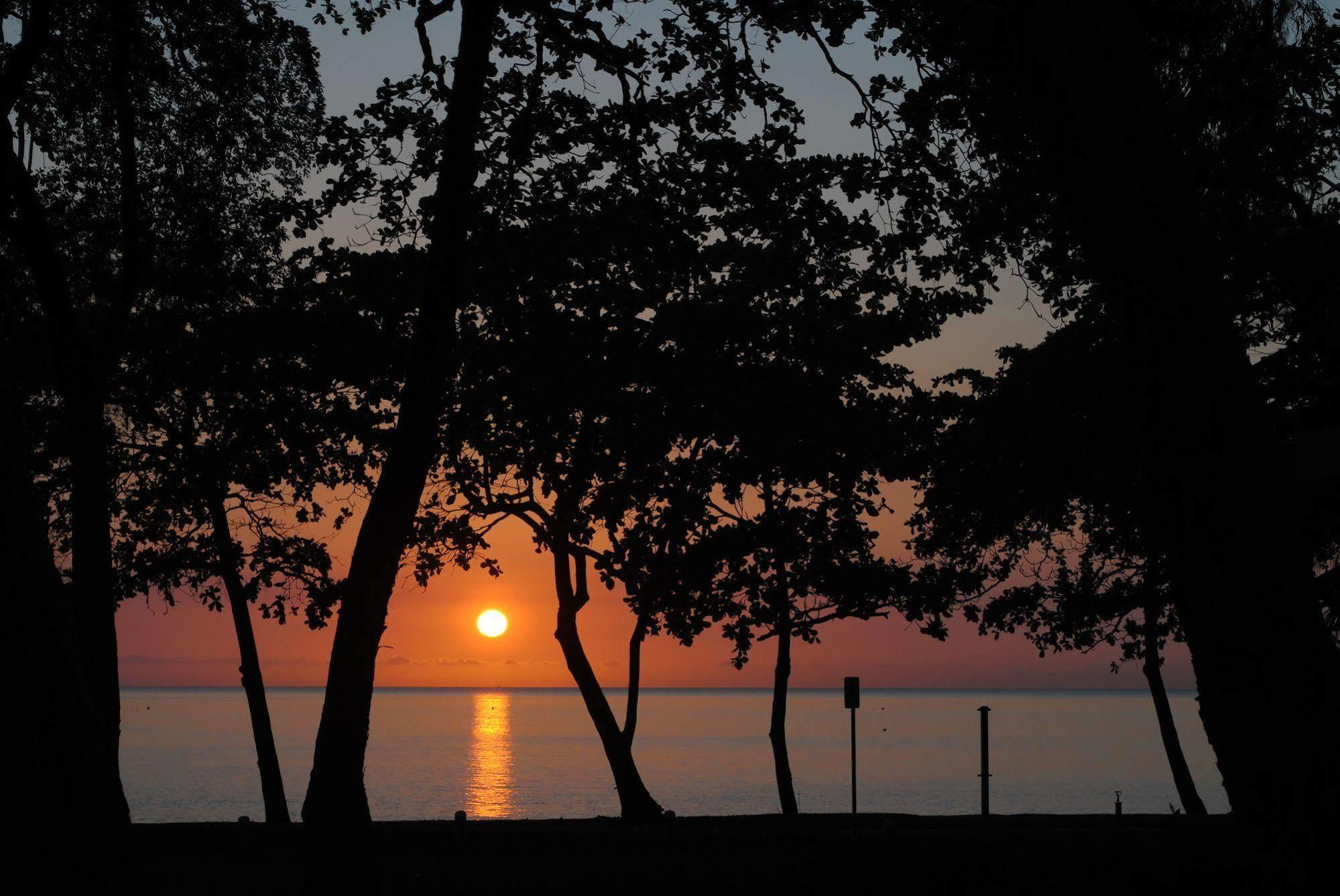 Beachview Apartments At Villa Paradiso Palm Cove Zewnętrze zdjęcie